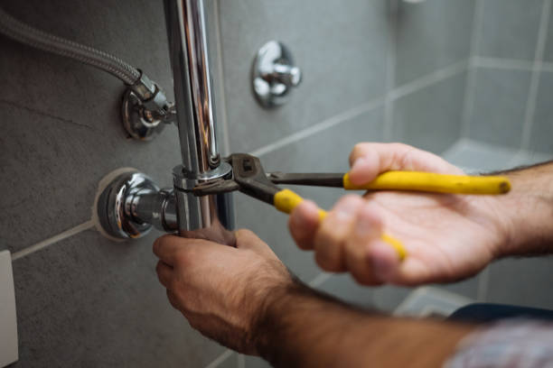 Best Plumbing Services Near Me  in Hobart, WI